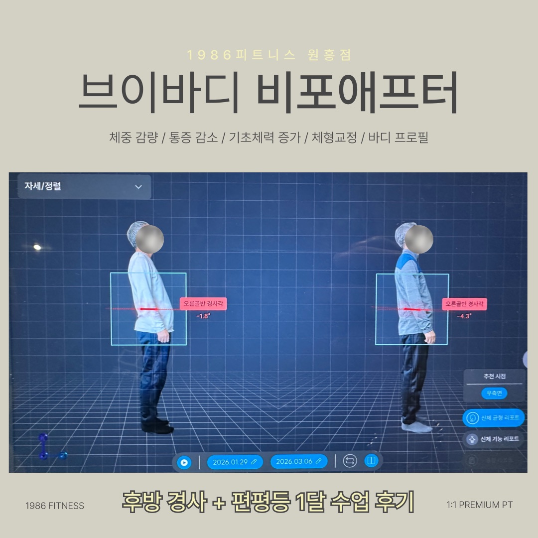 체형 분석을 바탕으로 진행한 한 달 수업 전후 기록